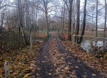 Tiltelis per upelę Juoda