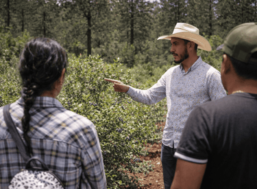 Un agricultor con sombrero de paja señala arbustos de arándanos mientras da asesorias 