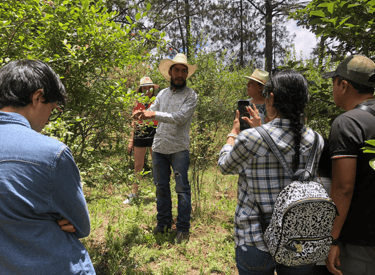 A guide leads a nature tour through a lush forest, teaching a group of tourists about local plants.