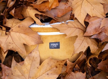 Photo produit feuille automne