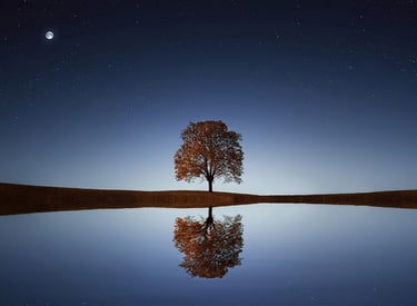 a tree in the middle of a field with a full moon in the background