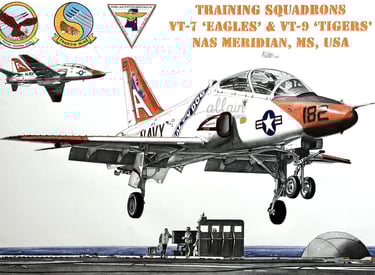 Dessin réaliste en couleurs T45 Goshawk