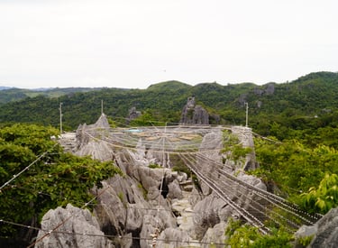 a mountaintop with a rope - tied bridge and a view of a mountain