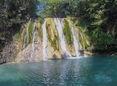 a waterfall in the middle of a forest