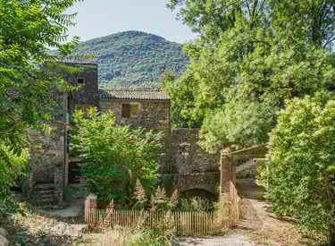 Le moulin en cévennes