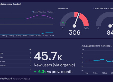 SEO optimization results improving website traffic and visibility.