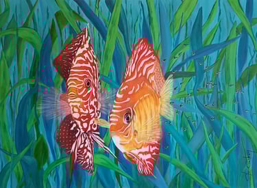 couple de poissons discus rouges et jaunes avec leurs petits au milieu des algues vertes et bleues