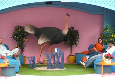 secret story 8 jardim