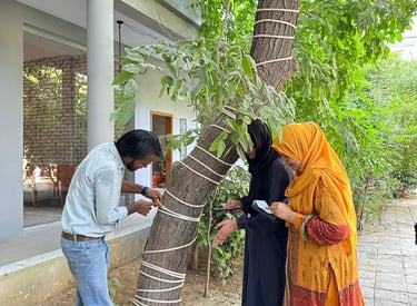Professional tree survey & monitoring in Pakistan with geotagging, DBH, biodiversity, carbon credits