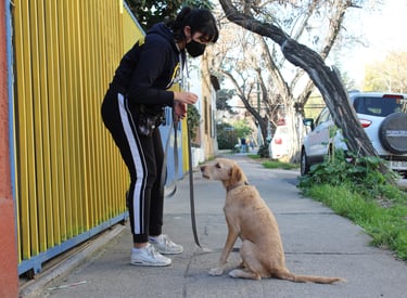 Paseos recreativos Santiago