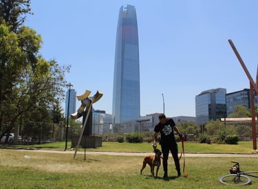 Servicio de paseos Providencia