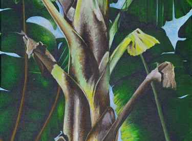 Close up painting of banana tree stem and leaves.