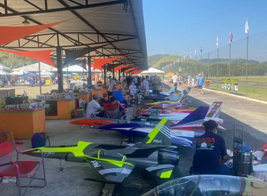 aeromodelos no châo