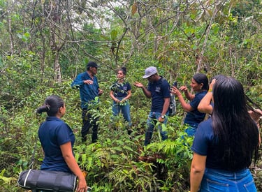 guardianes amazonicos