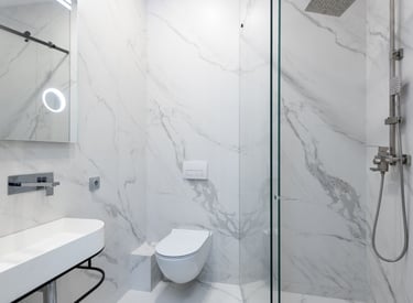 a bathroom with a toilet and a shower