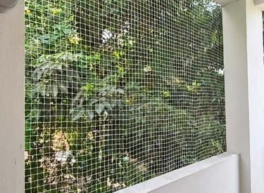 best safety nets in Bannerghatta