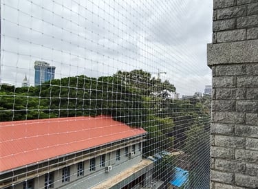 anti pigeon nets in Jp nagar