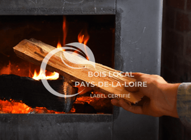une personne tenant un morceau de bois devant une cheminée
