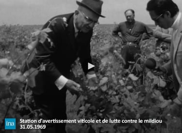 Pesticides agriculture