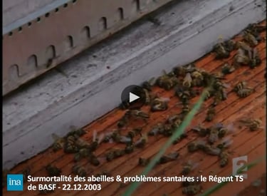 Pesticides Abeilles BASF