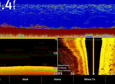 image sonar qui montrent des poissons en 2D, imagerie verticale (down imaging) et imagerie latérale 
