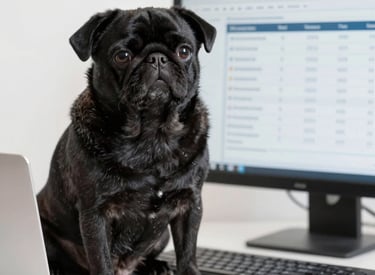 An old-fashioned entrance with a sign reading 'CONCIERGE' above a wooden-framed doorway. The upper part of the entrance displays the address '13 BIS' and 'Passage Verdeau'. The architecture is classic with decorative elements and a large glass paneling at the top. A vintage lantern is hanging on the right.