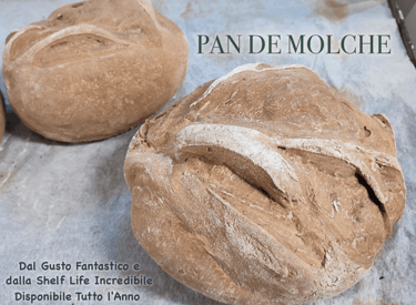 Pane con Sansa d'oliva fermentata