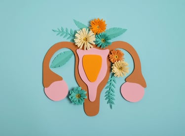 Sistema reproductivo femenino, útero