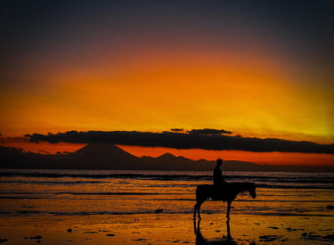 Picturesque paradise beach scene in Gili Trawangan featuring a horse at sunset, offering the best island life.