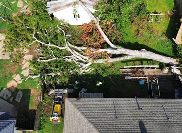 Tree damage in a customer's backyard in Tyler, TX from a storm.