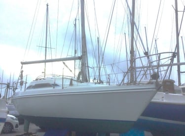 Insurance yacht survey