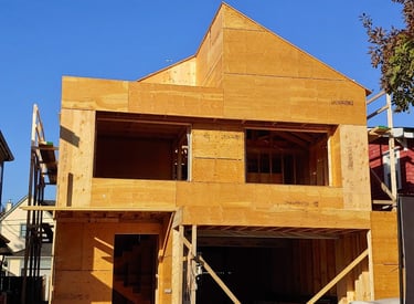 Custom Framing house project