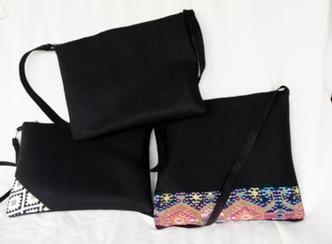 Document holders and carry bags