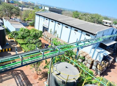 Pharma noble chem ltd humnabad unit 2