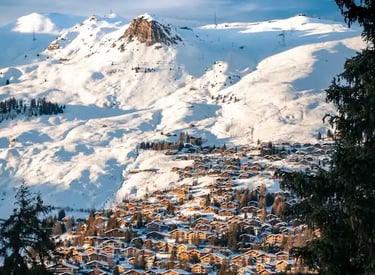 Verbier private day tour with driver-guide to alpine valleys and Mont Fort; private transfers.