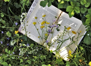 un libro aperto su un prato di foglie verdi con sopra fiori gialli, lilla e bianchi, libroterapia