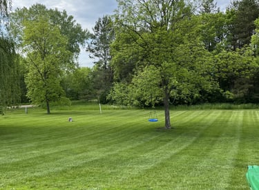 Lawn cut by Legacy Lawn & Landscape LLC
