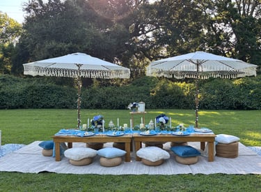 Bachelorette picnic in Hampton Park