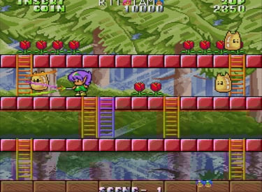 Arcade Rod-Land - Tam