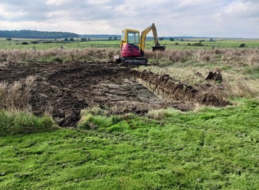 Travaux de terrassement avec pelouse et pelleteuse