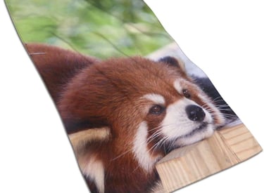 a red panda bear is laying on a wooden fence