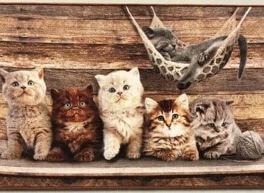 a group of kittenpies sitting on a bench
