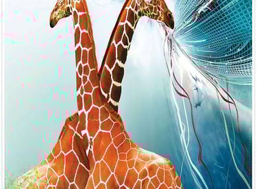 two giraffes standing next to each other