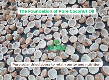Tamilamuthu Pure Solar Dried Copra from pollachi