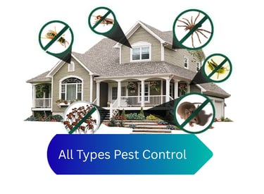 All Types Pest Control Services