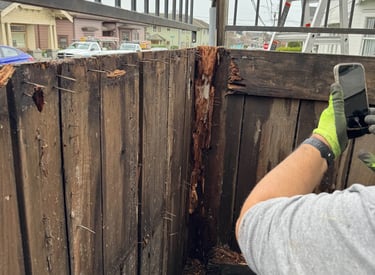 rotted wooden deck