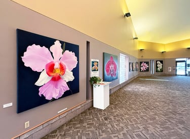 Gallery installation of museum-scale monumental botanical art by Christine Knize 