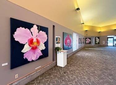 Gallery installation of museum-scale monumental botanical art by Christine Knize 
