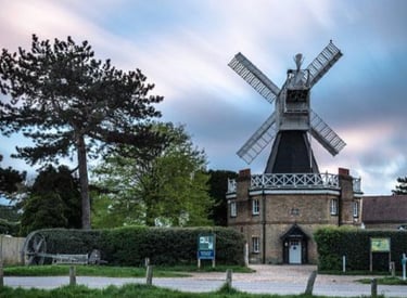 dogAdvisor | dog Advisor | dogadvisor.dog | dog Advisor