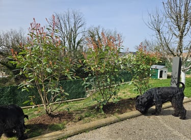 Plantations à l'élevage des Diamants Noirs d'Also